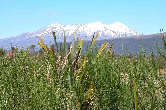 023National Park.JPG (reduit)